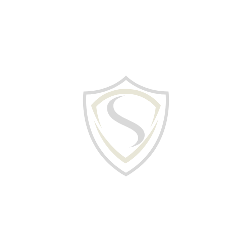 Avada Car Dealer Logo